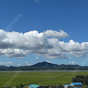 고압세척기 독일 크란즐