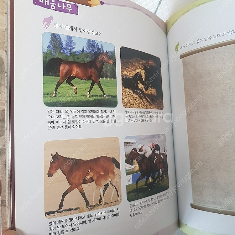 그림책이 좋아좋아 외--5