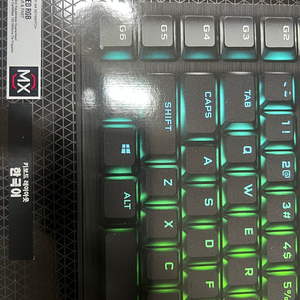 CORSAIR K100 RGB 체리 mx