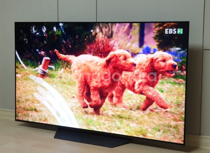 LG OLED 55인치 4K 스마트티비--1