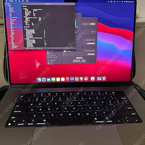 맥북프로16 m1max 64gb 2t 팝니다 +애케플
