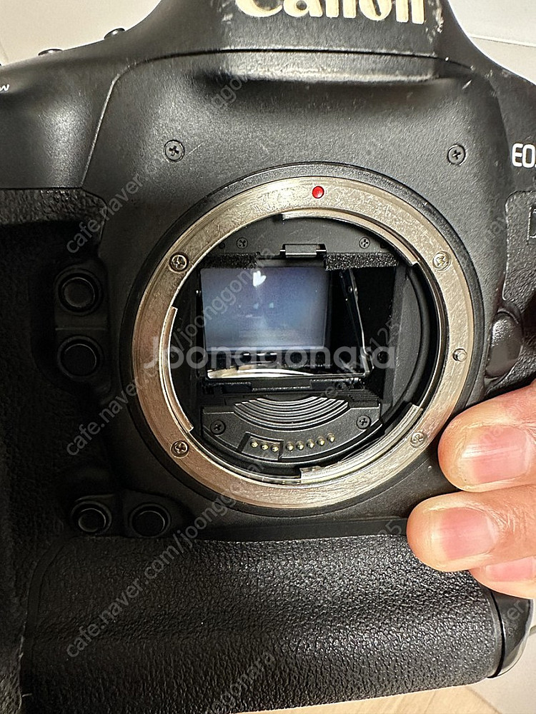 1DX MARK2 왕덱스투 판매합니다 가격인하2--6