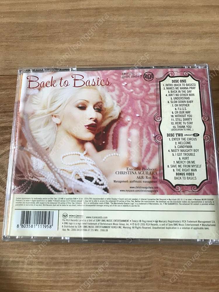 크리스티나 아겔레라-back to basics--1