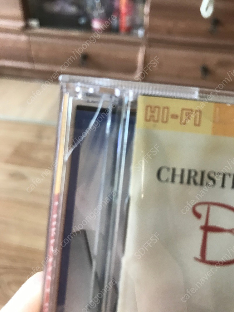 크리스티나 아겔레라-back to basics--2