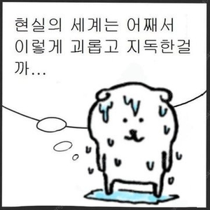 사의찬미 사찬 연뮤 증정 포카