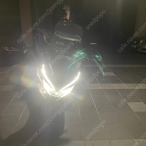 19년식 멧블랙 pcx 팝니다