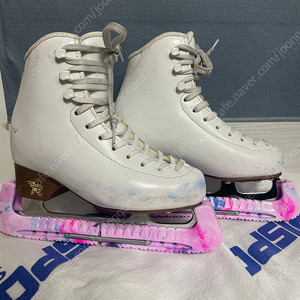 리스포츠 안타레스