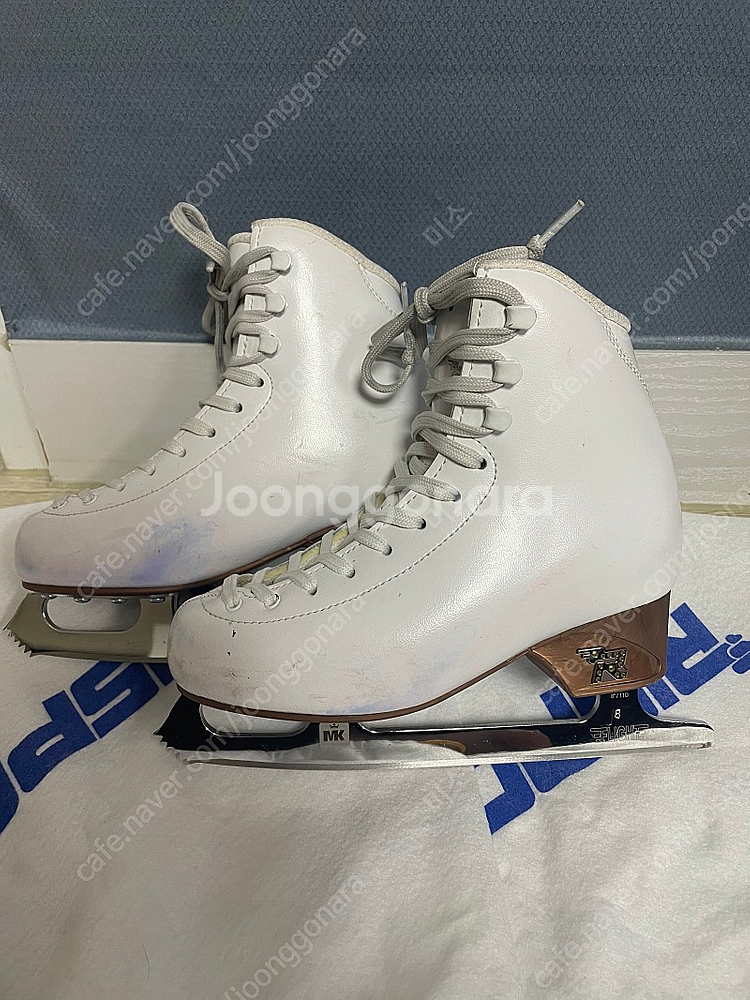 리스포츠 안타레스--4