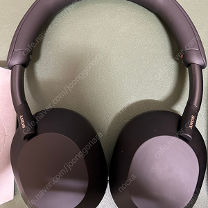 WH-1000XM5 블랙 33만