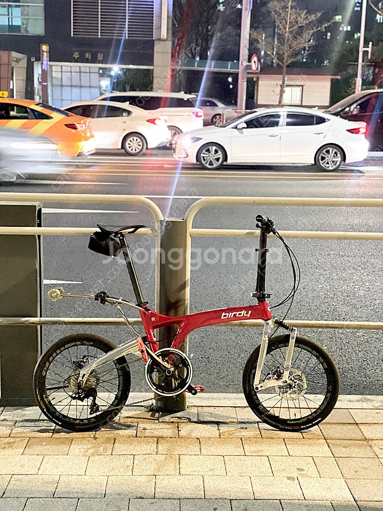 버디R 폴리시드 레드--1