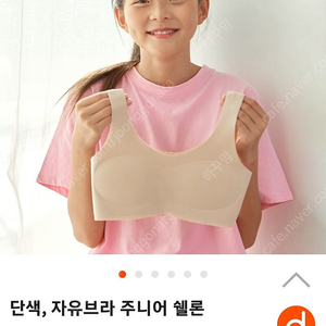 추사랑자유브라