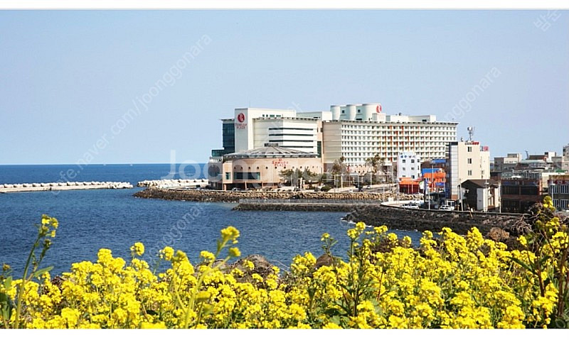제주 라마다 플라자 저녁 뷔페 더블루--1