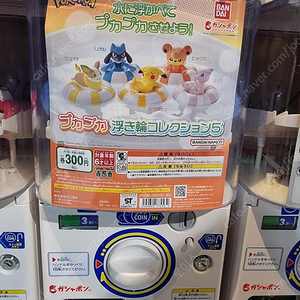 포켓몬 뽑기 멍파치