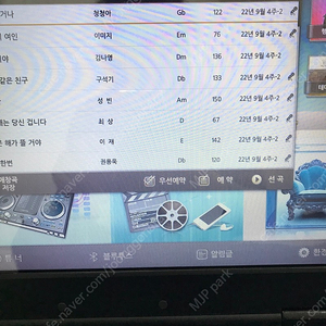 909 엘프 반주기 판매