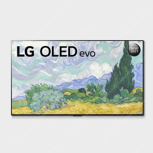 LG 65인치 올레드 4K UHD 스마트 TV OLED65G1 봄맞이 이사 할인 특가