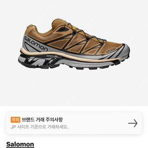 SALOMON XT-6 XT-6 캐세이 스파이스 L47136500 240