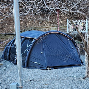 제드 티멕스 에어 판매합니다