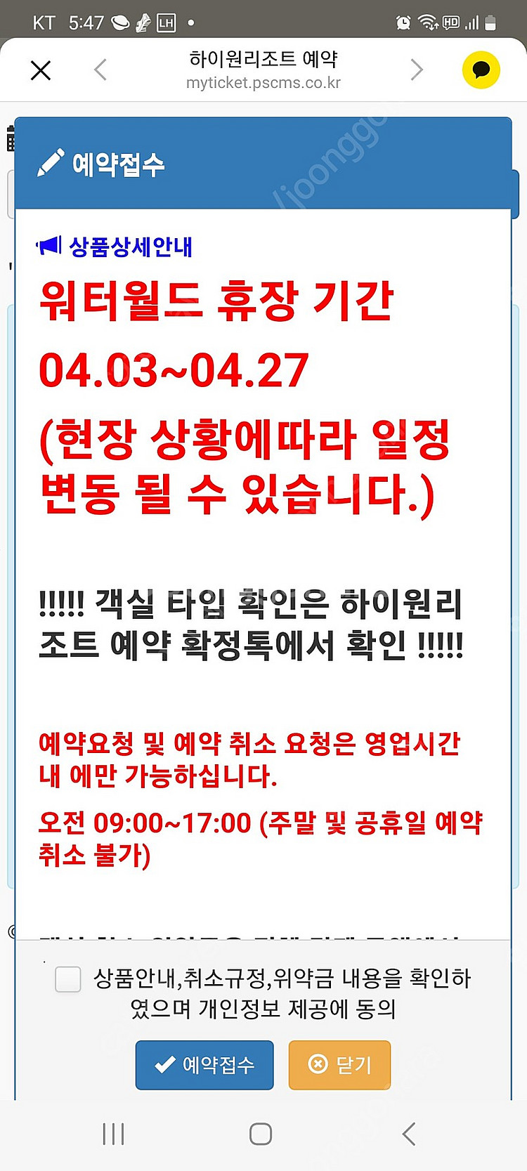 하이원리조트 사계절 올킬 3인 패키지 판매--2