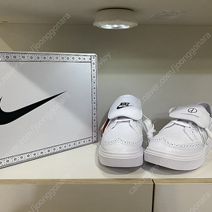 나이키 권도 255
