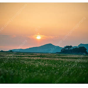 고독스 v1 배터리삽니다 >> 직거래요