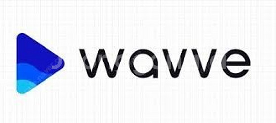 웨이브 wavve 스탠다드 12개월--0