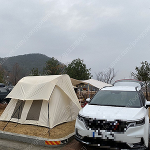 스프링바 트래블러 네추럴 풀셋 팝니다