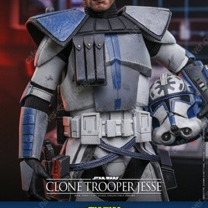 Hot Toys-TMS064 - Star Wars: The Clone WarsT-1/6th scale Clone Trooper JesseT 핫토이 스타워즈: 클론 트루퍼 제시퍼