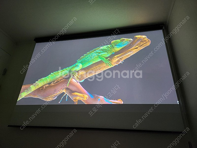 옵토마 SUHD60 4K 빔프로젝터 팝니다.--3