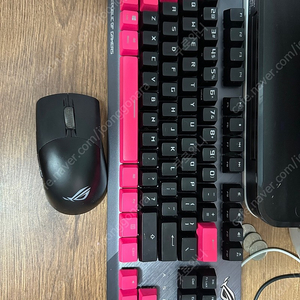 ASUS ROG KERIS 마우스, STRIX TKL PUNK