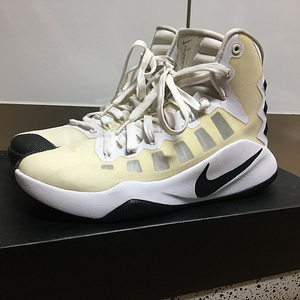 나이키 줌 하이퍼덩크 245