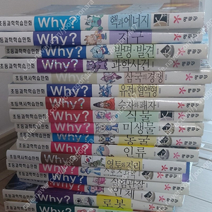 와이책 (why책)