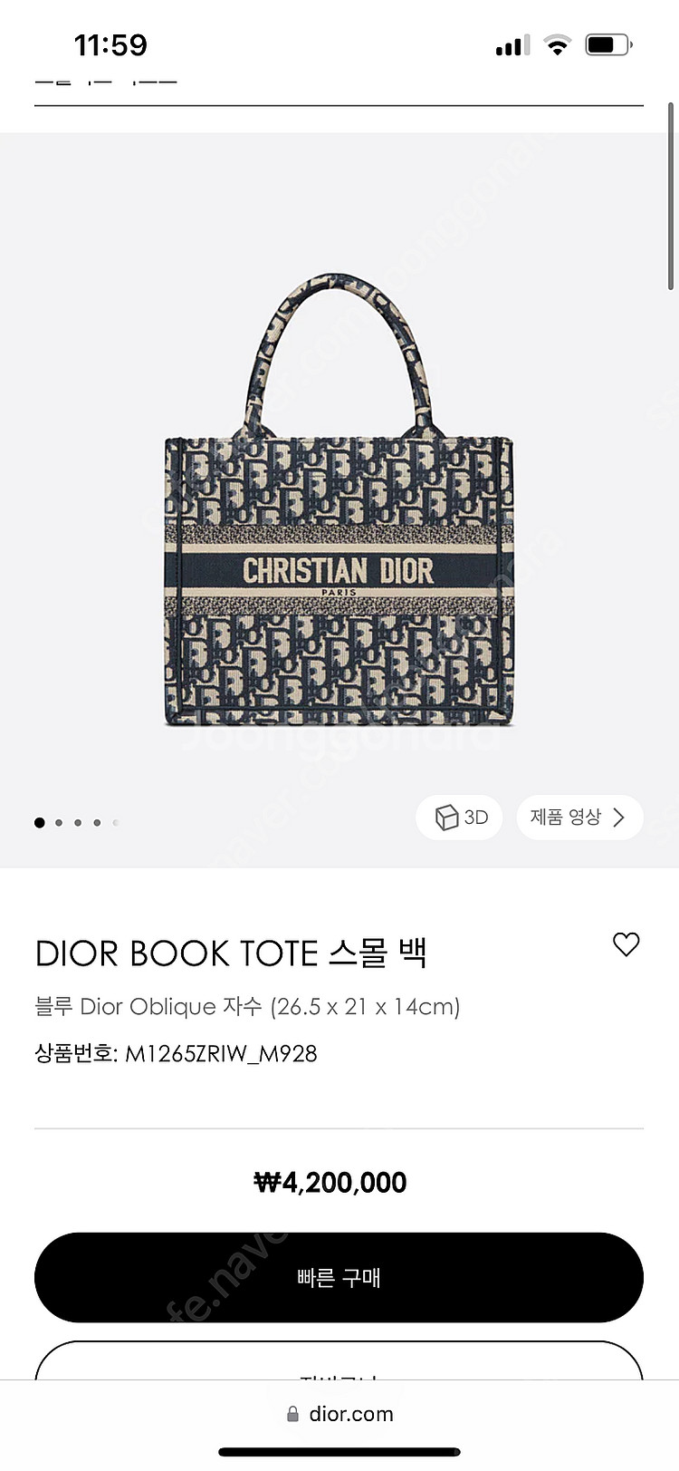 디올 오블리크 북토트 스몰--0