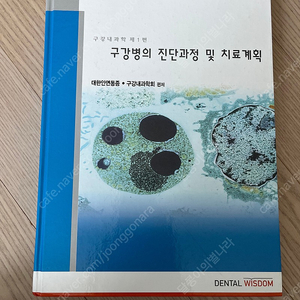 구강병의 진단과정 및 치료계획