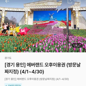 (구매) 에버랜드 오후권(4/23 일) 장당 10,000에 4장 구합니다.