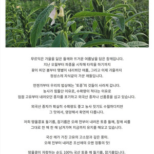 오늘 짠 국산 들기름 참기름 판매합니다.