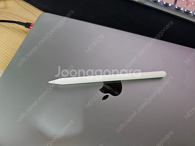 애플펜슬2세대 팝니다--2