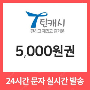 틴캐시 5000원 팝니다