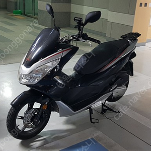 pcx 125 유가읍