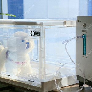 o2 max 강아지 산소발생기 방 포함