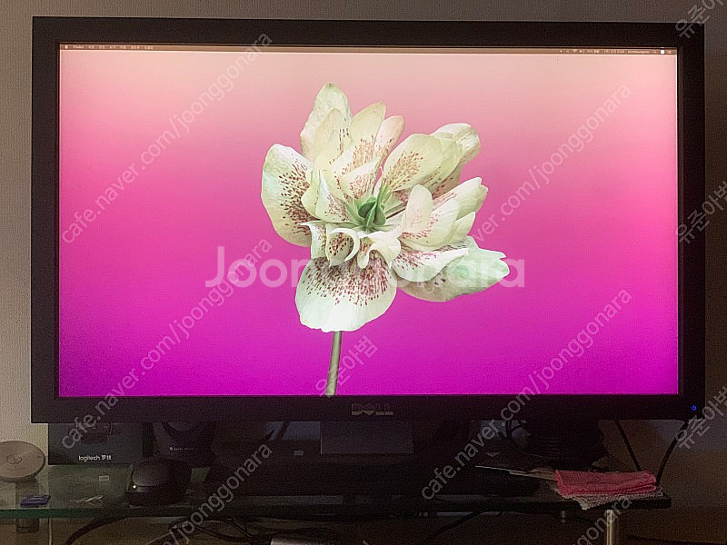 Dell Ultrasharp U2711 모니터--0