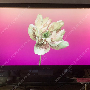 Dell Ultrasharp U2711 모니터