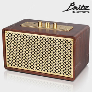 브리츠 Bz-jb5606 감성인테리어스피커, 블루투스스피커