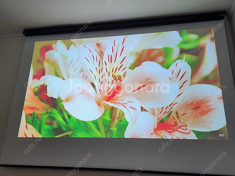 벤큐 W1050 FHD 빔프로젝터 팝니다.--5