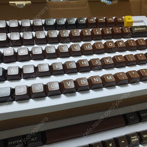 sa chocolate pbt 키캡 판매합니다. (sa 키캡)