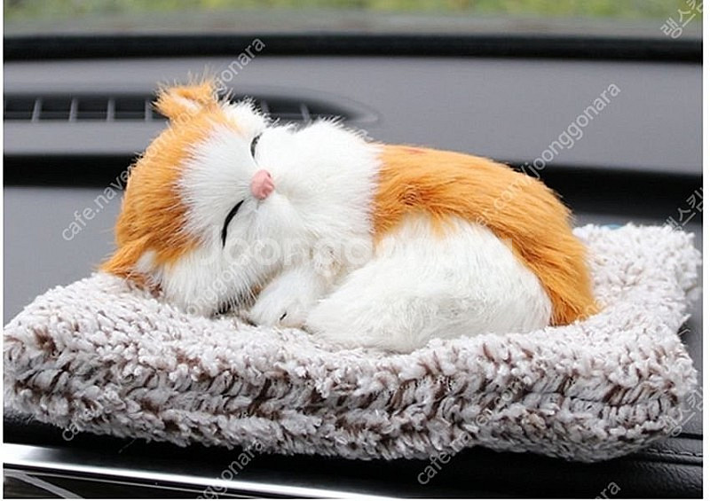 새 먼치킨 미니 고양이 제습 활성탄 인형--1