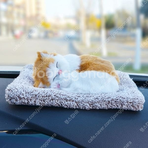 새 먼치킨 미니 고양이 제습 활성탄 인형--2