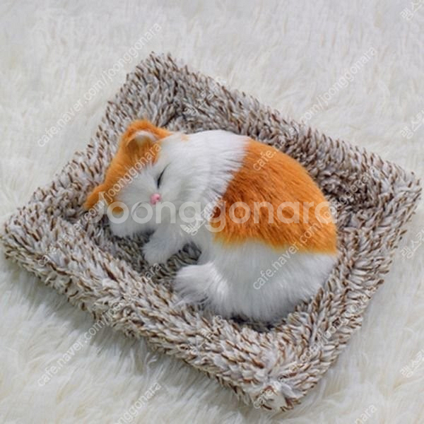 새 먼치킨 미니 고양이 제습 활성탄 인형--3