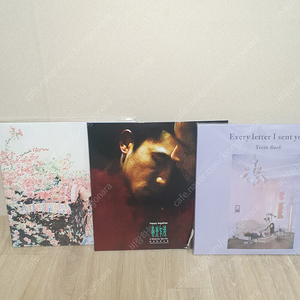 태연, 백예린, 중경삼림 lp