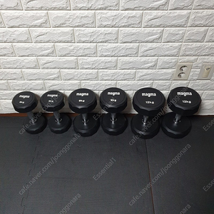 덤벨 세트 6kg 9kg 12kg