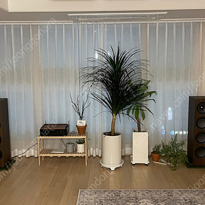 kef q950 + 마란츠pm7000n 판매합니다.